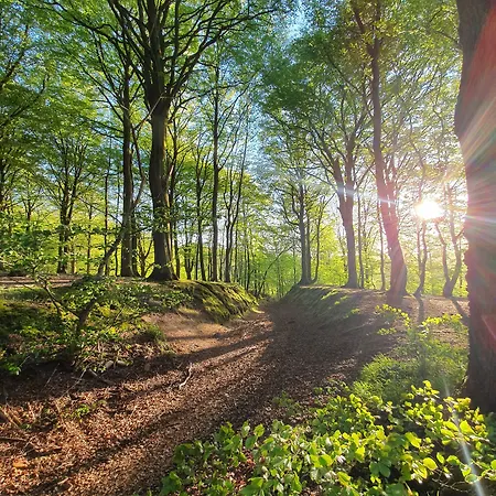 Amerika ホテル ホーブロー