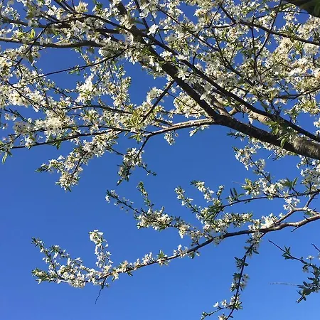 Amerika ホテル ホーブロー